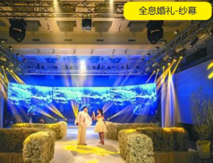 裸眼3D投影幕纱