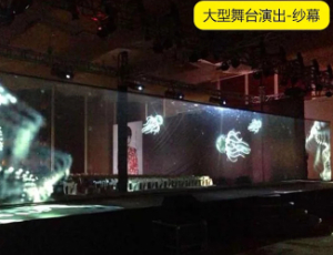 裸眼3D投影幕纱